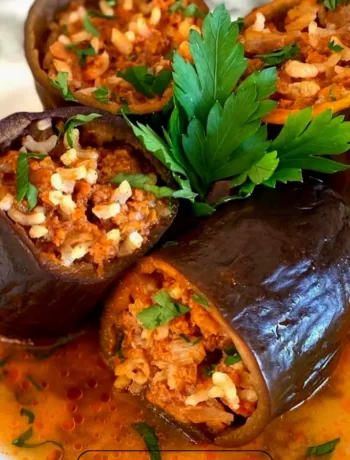 How to Make Eggplant with Rice