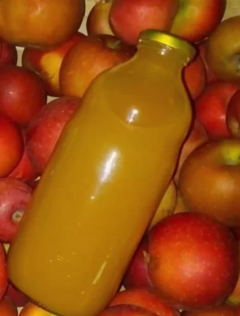 How to Make Apple Juice