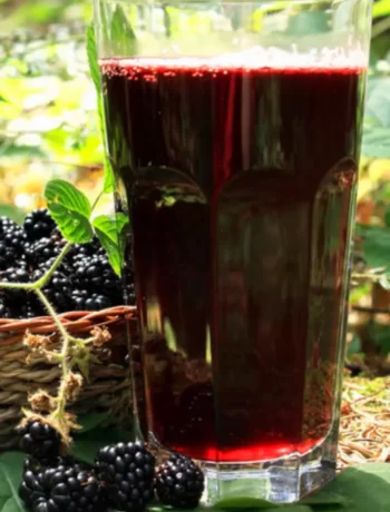 How to Make Blackberry Juice