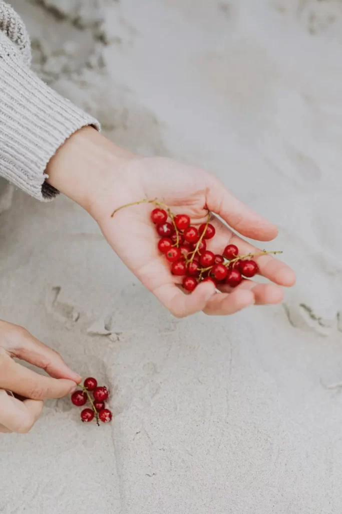 Currants